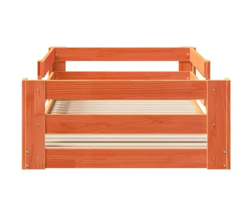 Gulta Bez Matrača, Vaska Brūnas, 80X200 Cm, Priedes Masīvkoks Vidaxl