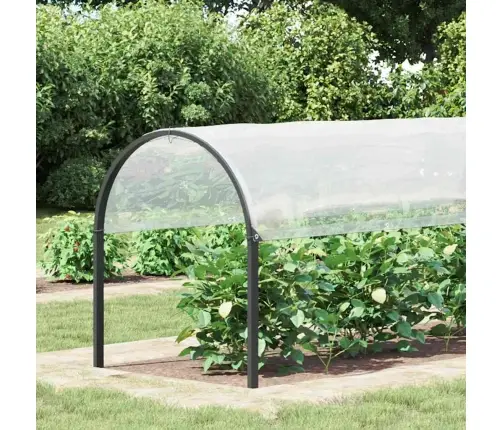 Augu Pārsegs Ar Cilpām 2X10 M Polietilēns Vidaxl