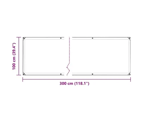 Augu Pārsegs Ar Cilpām 1X3 M Pvc Vidaxl