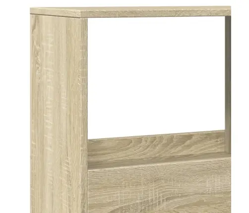 Kambario Pertvara, Sonoma, 100X33X155,5cm Apdirbta Mediena