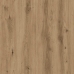 Skapis Artisan Oak 80X52X180 Cm Engineered Wood Vidaxl