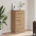 6 Sahtliga Puhvetkapp Artisan Tamm 50X34X96 Cm Ehituspuit