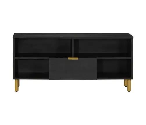 Televizoriaus Spintelė Juoda 100X33X46 Cm Engineered Wood