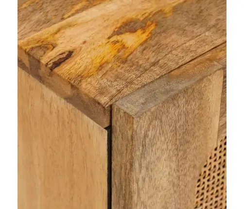 Vannitoa Rippkapp Uksega Pruun 38 X 33 X 48 Cm Tugev Mango Puu