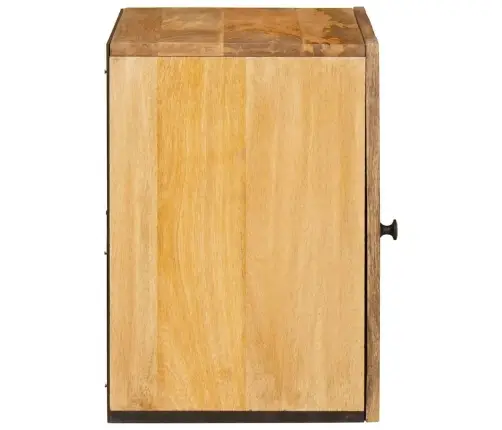 Vannitoa Rippkapp Uksega Pruun 38 X 33 X 48 Cm Tugev Mango Puu