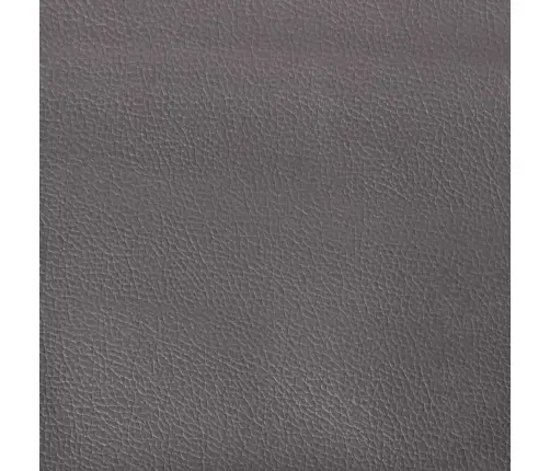 Ottomani Voodiraam Ilma Madratsita, Hall, 120X200 cm Kunstnahk