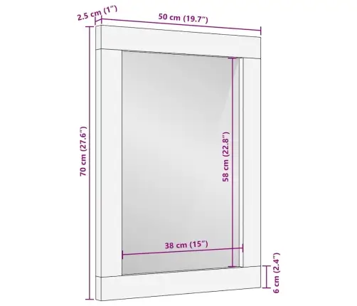 Peegel Pruun Ja Hõbe 50 X 70 Cm Tugev Mango Puit, Klaas