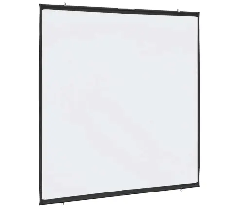 Projekcijas Ekrāns Pie Sienas 81 Collu 1:1 Vidaxl