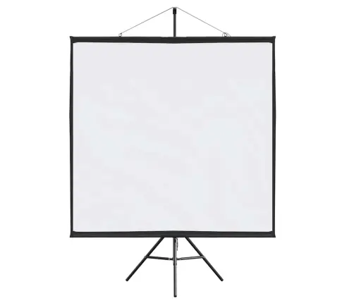 Projektsiooniekraan Statiiviga 67 Tolli 1:1