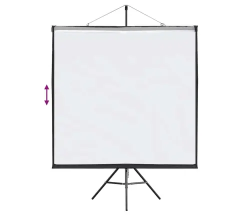 Projektsiooniekraan Statiiviga 67 Tolli 1:1