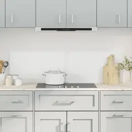 Köögi Pritsmekaitsed 2 Tk, Läbipaistev, 70 X 40 cm Klaas