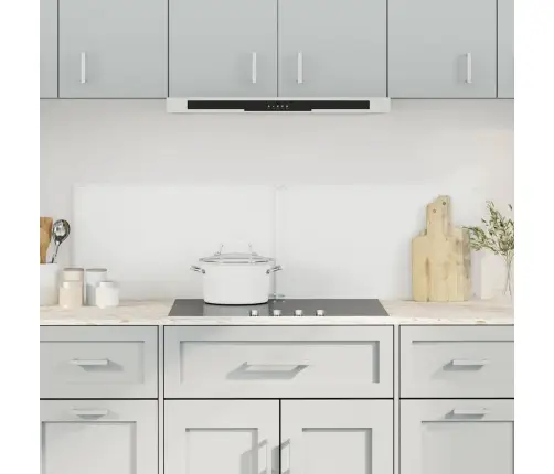 Virtuves Paneļi, 2 Gab., 70X60 Cm, Rūdīts Stikls, Caurspīdīgi Vidaxl