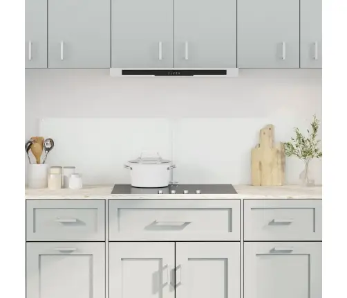 Virtuves Paneļi, 2 Gab., 80X60 Cm, Rūdīts Stikls, Caurspīdīgi Vidaxl