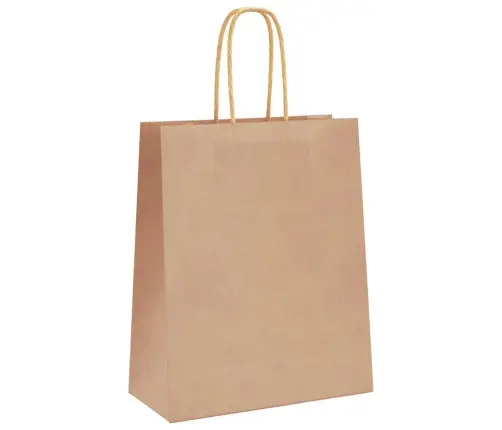 Paberkotid, 50 Tk, Käepidemetega, Pruun, 18X8X22 Cm