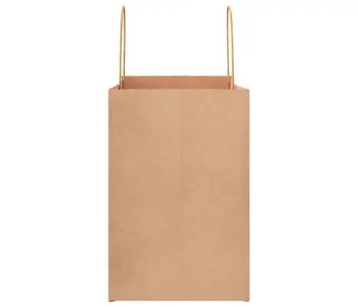 Papīra Maisiņi 50 Gab. Ar Rokturiem, Brūni, 26X17X25 Cm Vidaxl