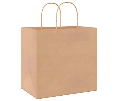 Papīra Maisiņi 50 Gab. Ar Rokturiem, Brūni, 26X17X25 Cm Vidaxl