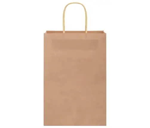 Popieriniai Maišeliai 250Vnt., Su Rankenomis, Rudos, 21X11X31Cm