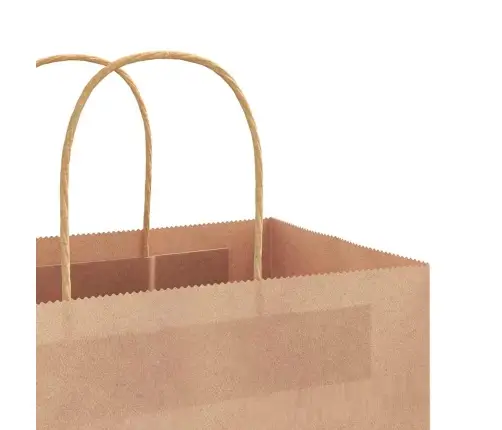 Paberkotid, 250 Tk, Käepidemetega, Pruun, 45X17X48 Cm