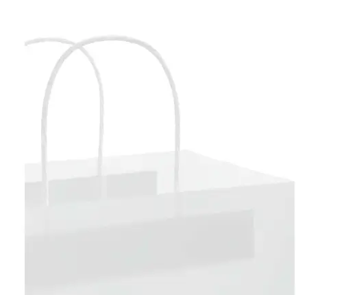 Paberkotid, 50 Tk, Käepidemetega, Valge, 21X11X28 Cm