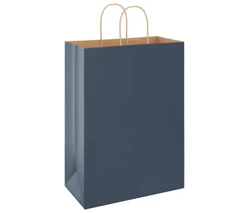 Papīra Maisiņi 250 Gab. Ar Rokturiem, Zili, 32X17X44 Cm Vidaxl