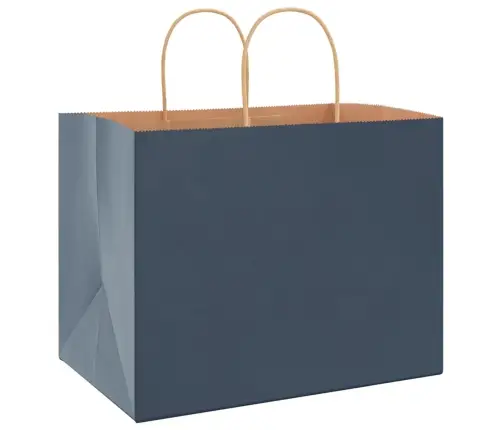 Papīra Maisiņi 250 Gab. Ar Rokturiem, Zili, 32X22X24 Cm Vidaxl