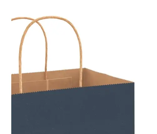 Papīra Maisiņi 250 Gab. Ar Rokturiem, Zili, 32X22X24 Cm Vidaxl