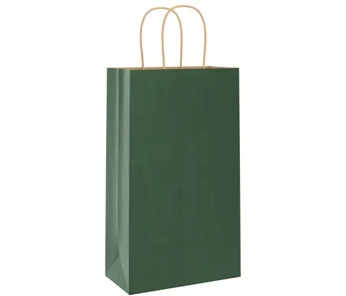 Paberkotid, 250 Tk, Käepidemetega, Roheline, 21X11X36 Cm
