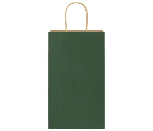 Paberkotid, 250 Tk, Käepidemetega, Roheline, 21X11X36 Cm