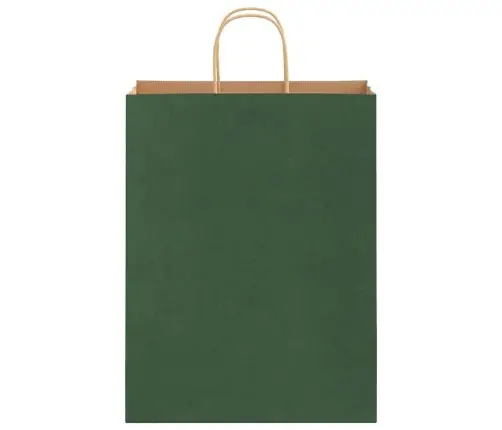 Paberkotid, 250 Tk, Käepidemetega, Roheline, 32X12X42 Cm