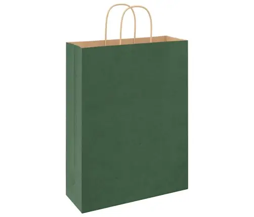 Paberkotid, 250 Tk, Käepidemetega, Roheline, 32X12X42 Cm