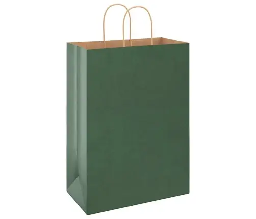 Papīra Maisiņi 250 Gab. Ar Rokturiem, Zaļi, 32X17X44 Cm Vidaxl