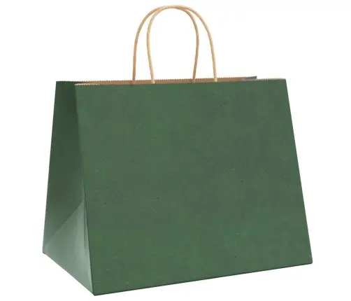 Papīra Maisiņi 250 Gab. Ar Rokturiem, Zaļi, 32X22X24 Cm Vidaxl