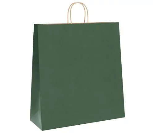 Papīra Maisiņi 250 Gab. Ar Rokturiem, Zaļi, 45X17X48 Cm Vidaxl