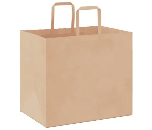 Paberkotid, 50 Tk, Käepidemetega, Pruun, 32X22X28 Cm