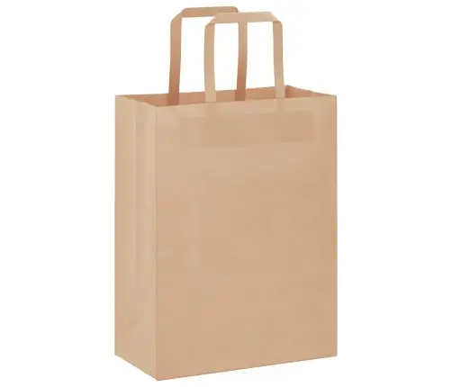 Paberkotid, 250 Tk, Käepidemetega, Pruun, 21X11X28 Cm