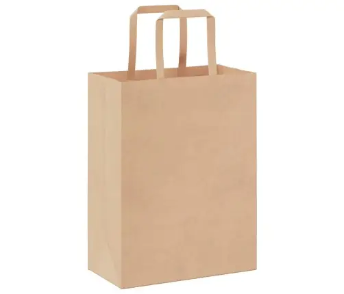 Paberkotid, 250 Tk, Käepidemetega, Pruun, 21X11X28 Cm