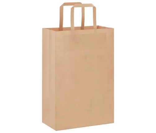Paberkotid, 250 Tk, Käepidemetega, Pruun, 21X11X31 Cm