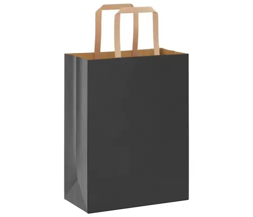 Paberkotid, 50 Tk, Käepidemetega, Must, 21X11X28 Cm