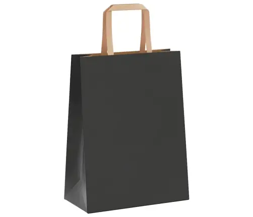 Paberkotid, 50 Tk, Käepidemetega, Must, 21X11X28 Cm