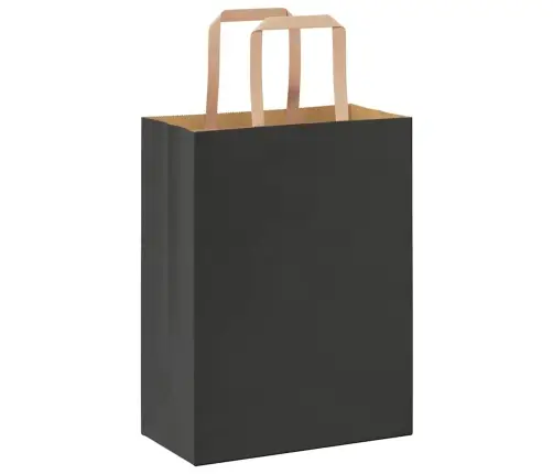 Paberkotid, 50 Tk, Käepidemetega, Must, 21X11X28 Cm