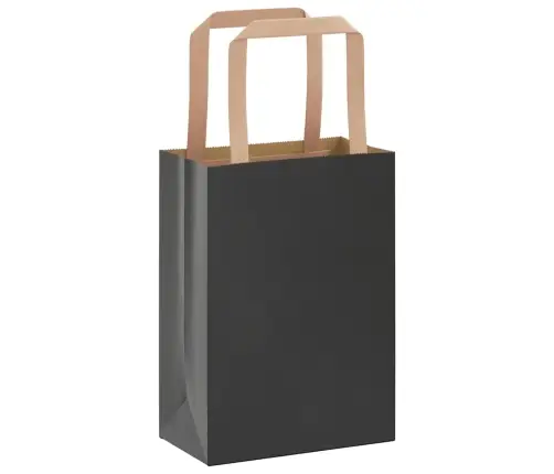 Paberkotid, 250 Tk, Käepidemetega, Must, 15X8X21 Cm