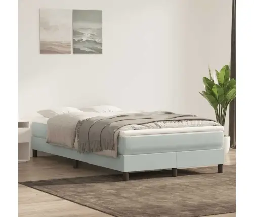Box Spring Lova Be Čiužinio Šviesiai Pilka 120X220 Cm Aksomas