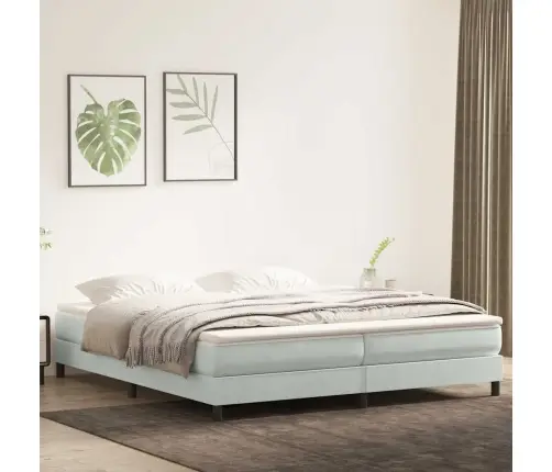Box Spring Lova Be Čiužinio Šviesiai Pilka 200X220 Cm Aksomas