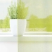 Voile Kardinad Koos Läbivõredega 2 Tk Apple Green 140X245 Cm