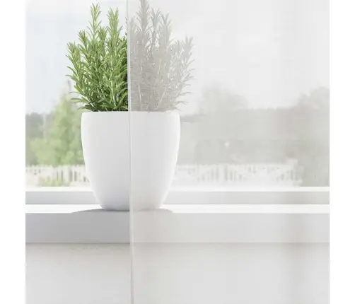 Voile Kardinad Koos Rõngastihenditega 2 Tk Valge