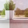 Voile Aizkari Ar Starplikām, 2 Gab., Vīnsarkani Vidaxl