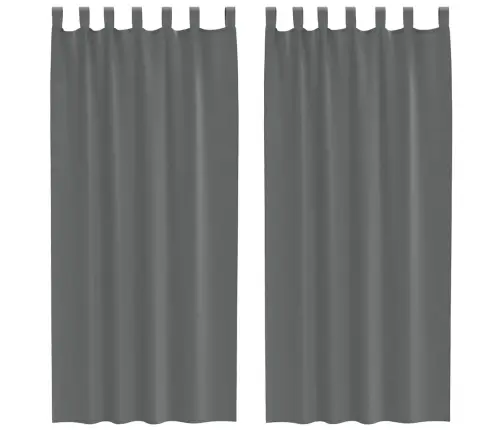 Voile Aizkari Ar Cilpām, 2 Gab., Tumši Pelēki, 140X225 Cm Vidaxl