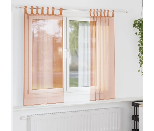 Aasadega Voile Kardinad 2 Tk Terrakota 140X140 Cm