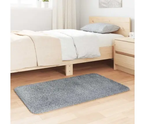 Paklājs, 60X100 Cm, Shaggy, Navarra, Gaiši Pelēka, Poliesters Vidaxl