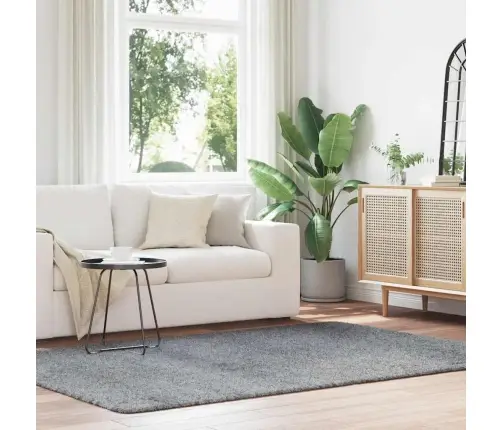 Paklājs, 160X230 Cm, Shaggy, Navarra, Gaiši Pelēka, Poliesters Vidaxl